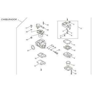 carburador echo a021004620